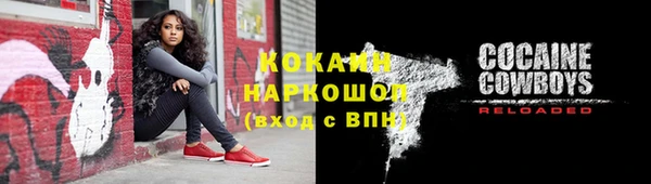 прущий лед Алзамай