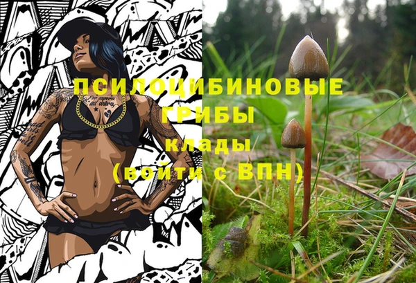 марки nbome Алексин